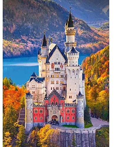 Puzzle 1000 pièces : Château de Neuschwanstein