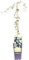 Pianta di Hedera Helix Goldheart Edera Oro De Boliasco pianta da esterno Edera Rampicante pianta ornamentale variegata vera venduta da eGarden.store