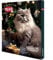 Trixie Xmas Premio Adventskalender für Katzen 24 kleinen Leckereien Katzen Weinachsgeschenk Premium-Adventskalender für Katzen