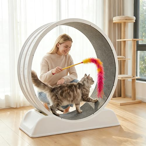 80 * 80cm Zoll Katzenräder für Indoor-Katzen, Plastik Katze Übung Laufband Rad mit Teppich Startbahn für Kätzchen tägliche Übung und Gewichtsverlust mit Lustiger Katzenstock (Weiß-Grey Carpet)