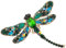 Funie Damen-Brosche, Libelle, Kristall, hübsch, Strass, Schal, Anstecknadel, Schmuck (grün)
