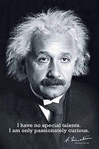 Albert Einstein: I Have no Special Talents... | UK Import Plakat, Poster [61 x 91,5 cm]