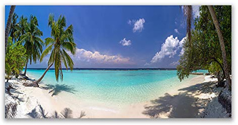 Tulup Splashback - 140x70cm Backsplash Cooker Hob Wall Splashback - Kitchen Wall Panels - Heat Resistant - Toughened/Tempered Safety Real Glass - Sea Beach Palm Trees Landscape