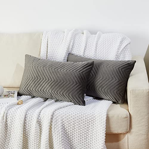 Juliyeh 2er Set Samt Kissen mit Einfarbig Kissenbezug Zierkissenbezug Kissenhüll Dekorative Kissenbezug Sofakissen Couchkissen Dekokissen für Sofa Wohnzimmer Auto 40x60 cm Grau