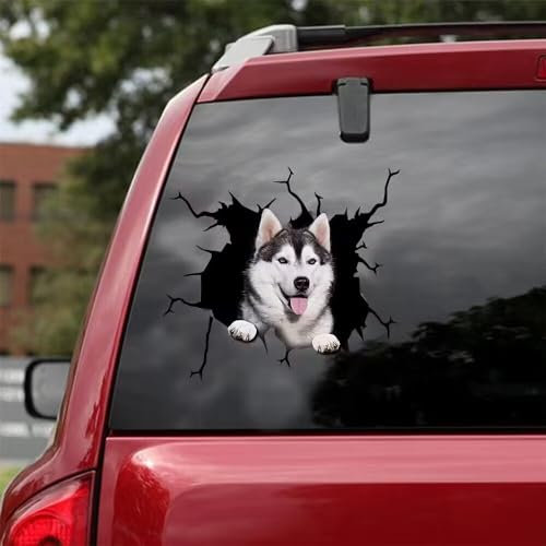 Lustiger Husky Auto-Aufkleber, 3D-Vinyl, wasserdicht, 29 x 30 cm, für Wand, Laptop, Auto, Fenster, LKW, Stoßstange, Kühlschrank-Aufkleber