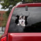 Lustiger Husky Auto-Aufkleber, 3D-Vinyl, wasserdicht, 29 x 30 cm, für Wand, Laptop, Auto, Fenster, LKW, Stoßstange, Kühlschrank-Aufkleber