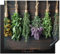 KitchenYeah© Herdabdeckplatte Einteilig Küche Ceranfeld Abdeckplatte Cerankochfeld Abdeckung Induktionskochfeld Schutzmatte Pflanzen - Holz - Blumen - Trocknen - 57x51 cm
