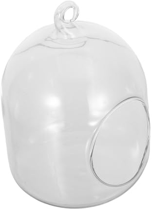 ibasenice Kit de Plantes DIY pour Bureau Décoration Moderne avec Bouteille de pour Mousse et pour Usage Polyvalent Espace Réduit