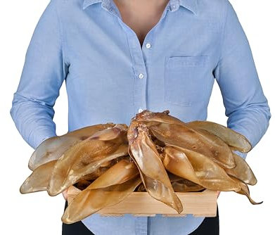 Oreilles de boeuf naturelles avec coquille pour chien, 10 pièces (700 g) | collation naturelle indienne en 100% boeuf | longue mastication et soins dentaires | sans additifs
