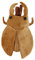 Baoblaze Plüsch-Rucksack, lebensechte Tier-Freizeittasche, leicht, weich, lustig, praktisch, modisch, Stofftier-Tasche, Cartoon für Erwachsene und Kinder, Käfer
