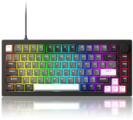 Akko 5075 V3 Wired Mechanical Keyboard, 75% QWERTY Gasket Mount Gaming Keyboard Programmable with RGB Backlit Hot-swappable Frost Pink Switch, Black & Silver