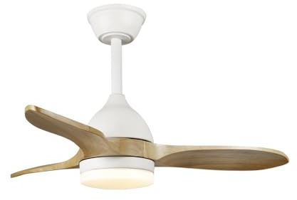 wonderlamp - Ventilador de techo silencioso Tasme, Ventilador de techo con luz LED 20W y aspas de Madera, mando a distancia