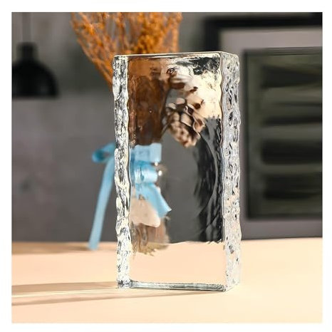 DXZXDJIU Briques de Verre Transparentes multifonctionnelles – Blocs d'intimité rectangulaires for la Maison, la Salle de Bain et la Chambre(1pcs)