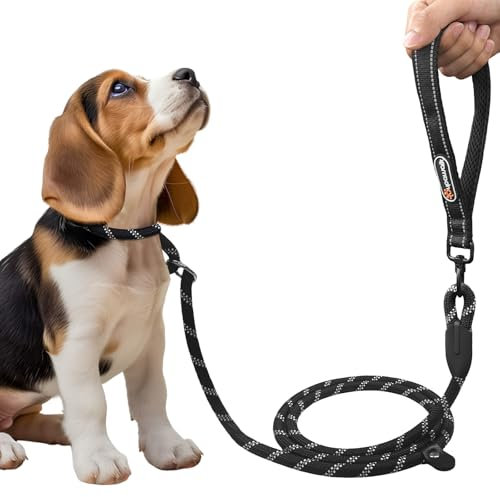 Correa para Perros Grandes y medianos, Correa Ajustable, Correa Reflectante de Nailon, Correa para Perros Grandes, para Entrenar y pasear al Perro, 1 * 200CM (Negro)