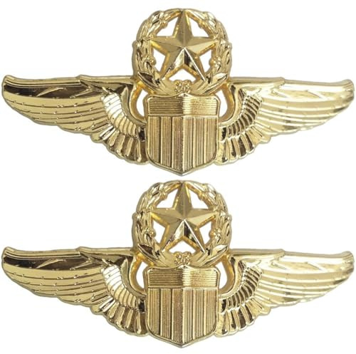 HiyyFloy 2 Stück Piloten-Souvenir-Abzeichen, Fliegerflügel-anstecker, Kampfpiloten-brosche Für Kleidung, Rucksack, Mütze, Schal, Hemd, Uniform-Dekoration