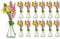casavetro 12/24 kleine Mini Flaschen Vasen 100 ml Set Mini-TR-100 Glasflaschen klar Deko Hochzeit (12 x 100 ml-OK)