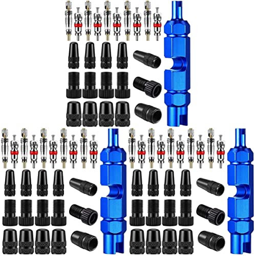 BESPORTBLE 3sets Bike Repair Tool Kit for Tire Stem Core Includes Valve Cap and Cover for Dual Valve Types Maintenance