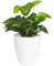 Elly Décor Maceta de plástico para Exteriores de 12 x 12 Pulgadas, Maceta Redonda para Patio, macetas para Exteriores o Interiores, contenedor de Flores con Agujeros de Drenaje, macetas para Plantas