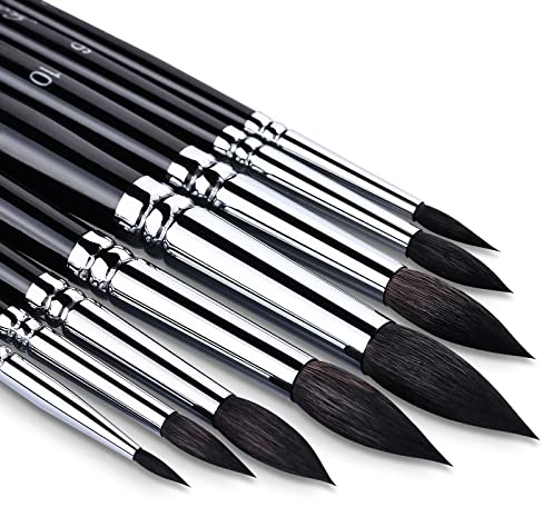 Watercolour Brush Set Squirrel Hair 8pcs Professional Mop Artists Round Watercolour Detail Paint Brushes for Watercolours,Acrylics,Inks,Gouache,Oil and Tempera