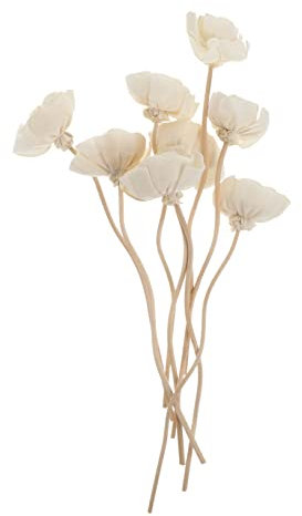 HOMOCONO 8stücke Rattan Aromatherapie Stäbchen Für Ätherische Öle Blumendiffusor Zubehör Duftölstäbchen Für Home Duft Dekoration Rattan Diffusor Sticks Für Aromatherapie