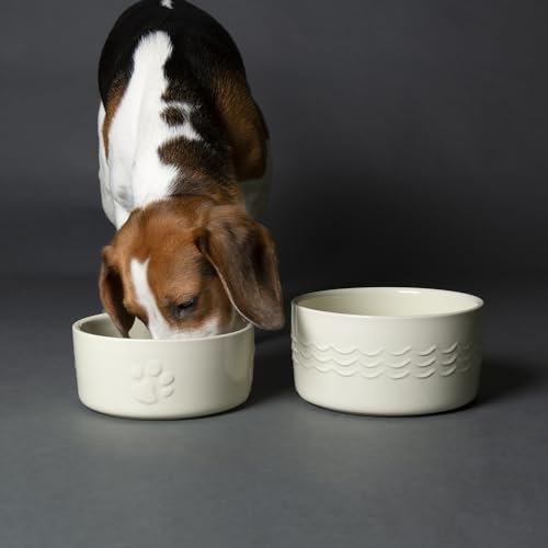 Scruffs Icon 2 Piece Dog Food & Water Bowl Set - 19cm | 20cm - Cream