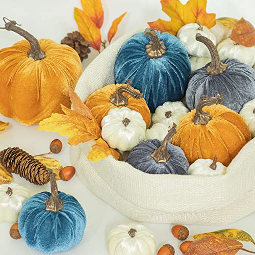 KI Store 19 Stück Samt Kürbisse Herbst groß 15/11/9/8/6cm Künstlich kürbis Halloween deko Herbst blu Weiss orange Für Halloween,Tisch deko und Thanksgiving Party herbstdeko