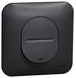 Schneider Electric S465276 Ovalis - Pulsador de cierre luminoso con garras, color antracita