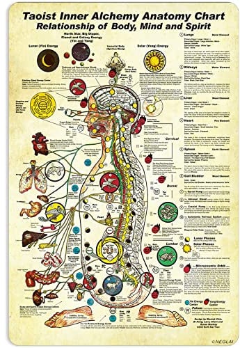 NEGLAI Taoist innere Alchemie, Anatomie-Diagramm, Wissen, Metallschilder, Poster, Vintage-Dekoration, Wandkunst, Dekoration, 40,6 x 30,5 cm