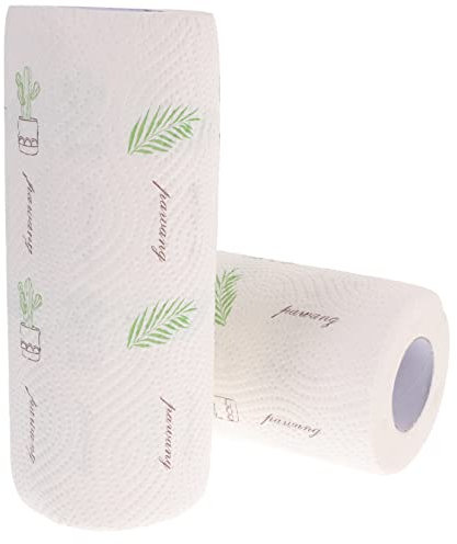 FRCOLOR 2 Rolls Oil Absorbing Paper Kitchen Cleaning Wipes Oil Locking Paper Towels for Kitchen