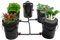 DRFGHK DWC Hydroponics Grow System mit Top-Drip-Kit, 5 Gallonen Deep Water Culture Kit, Recirculating Drip Garden System mit 4 Eimern, Luftpumpe, 19,7 Fuß Luftschlauch, Luftpumpe und Luftstein