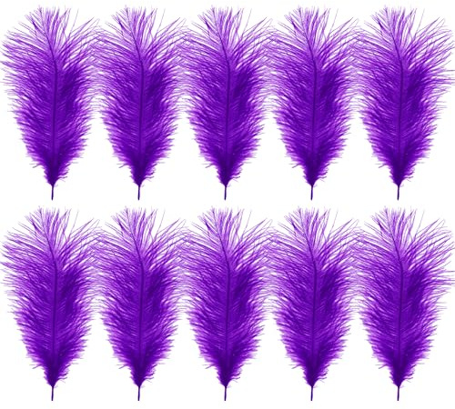 WedDecor 35cm Purple Ostrich Feathers for Wedding Decoration – Real Feather Supplies for Crafts, DIY Headdresses, Dressmaking, Table Centrepieces & Fashion Accessories, 10pcs | Craft Feathers for Wedding Centerpieces, Home, Decorating Costumes, Embellishment, Art & Craft, Parties