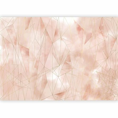 murando - Carta da Parati Adesiva Moderna, Geometrico Rosa, 490x350 cm