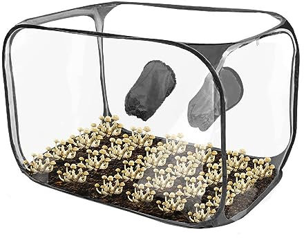 Mushroom Growing Still Air Box Tent Kit Bags,Portable Foldable Pop Up PVC Mushroom Container Set