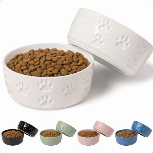 Ceramic Dog Bowl Set with Anti-Slip Rings - 5 Round x 2 Tall Set of 2 Ceramic Dog Bowls for Small Dogs - Small Dog Bowls - Dog Food and Water Bowl - White Dog Food Bowls - Dog Bowls Small Size Dog