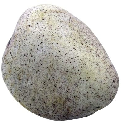 Scnvsi Llavero de Piedra de imitación Seguro para Exteriores, ocultador de Llaves de Roca Falsa, decoración de jardín, Compartimento Secreto, Caja de Almacenamiento Realista