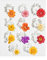 JJUNW Moule en silicone en forme de fleurs, 3D Blumem - Moule en silicone - 11 types de bougies - Moule en résine époxy - Moules 3D pour savon, bougies, gâteaux (gris)