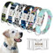 Beirui Hundehalsband mit Namensschild – personalisierbares Hundehalsband mit Schnellverschluss-Schnalle – verstellbares Haustier-Halsband für kleine, mittelgroße und große Hunde - Camouflage grün,M