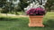 MONACIS Vase Quadro MILLERIGHE 50 48X48H 35