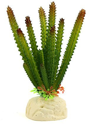 N/A Grün Kunststoff Kaktus, Terrarium, Reptilien, Wohnung, Dekoration, Haushalt, Dekoration