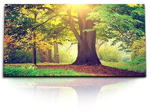 Paul Sinus Kunstdruck Bilder 120x60cm Große Eiche Baum Wald Sonnenstrahl Natur Grün