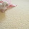 Decoweb Moquette Pure Laine Vierge bouclée - Latoon - Ecru - Echantillon 15 x 20 cm