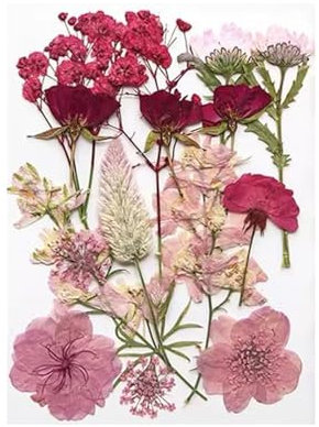 Arcjunys Gepresste Blumen Getrocknete Blumen Trockenblumen zum Basteln Getrocknete Blüten Dried Pressed Flowers für Kunst DIY Harz Scrapbooking Handwerk Karten Machen 16 Stück