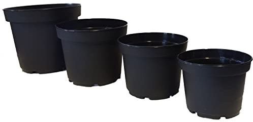 Fuchs seit 1895 10er Set Blumentopf MCI Containertopf aus Kunststoff, Größe:15cm