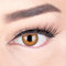 Sehr stark deckende und natürliche Braune Kontaktlinsen SILIKON COMFORT NEUHEIT farbig 'Elly Brown' + Behälter von GLAMLENS - 1 Paar (2 Stück) - DIA 14 mm - ohne Stärke 0.00