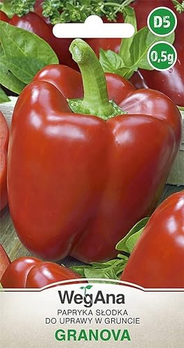 WegAna Paprika Granova Samen 0,5g Süße Sorte Rot Robuste Gemüsesamen Gemüse Samen Anzucht Saatgut für Gewächshaus Töpfen Terrassen Paprikasamen