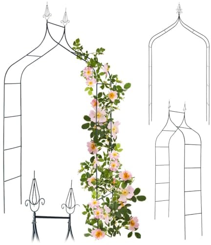 KADAX Arco da giardino per piante rampicanti, arco robusto, arco per rose, traliccio in ferro, porta traliccio, pergolato resistente alle intemperie, traliccio (ferro)