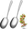 2 cucharas grandes de acero inoxidable para servir buffet, 25,5 x 7,5 cm con mango largo, aptas para lavavajillas, para cocina, restaurante, banquete