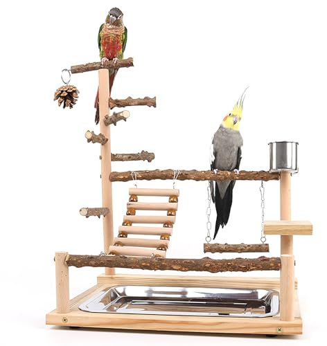 Dynaeuty Papagei Vogelspielplatz, Wellensittich Spielzeug, Parrot Playstand, Geeignet für Eclectus, Ara, Kakadu, Sittich (37x26x45cm)