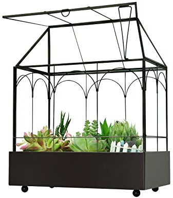 YIMORENCE V Terrario grande per piante in vetro alto – Kit terrario in vetro succulento per casa con labbro e vassoio Terrario in vetro per serra per piante 20,5 x 11,10,2 cm