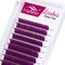 Extension De Cils En Soie 0.07mm C Curl 8-14 Mix Bouquet Volume Russe Soie éventails Faciles 2D 3D 4D 6D 8D 10D Naturel Cluster Professionnel(Violet 0.07-C-8-14 MIX)